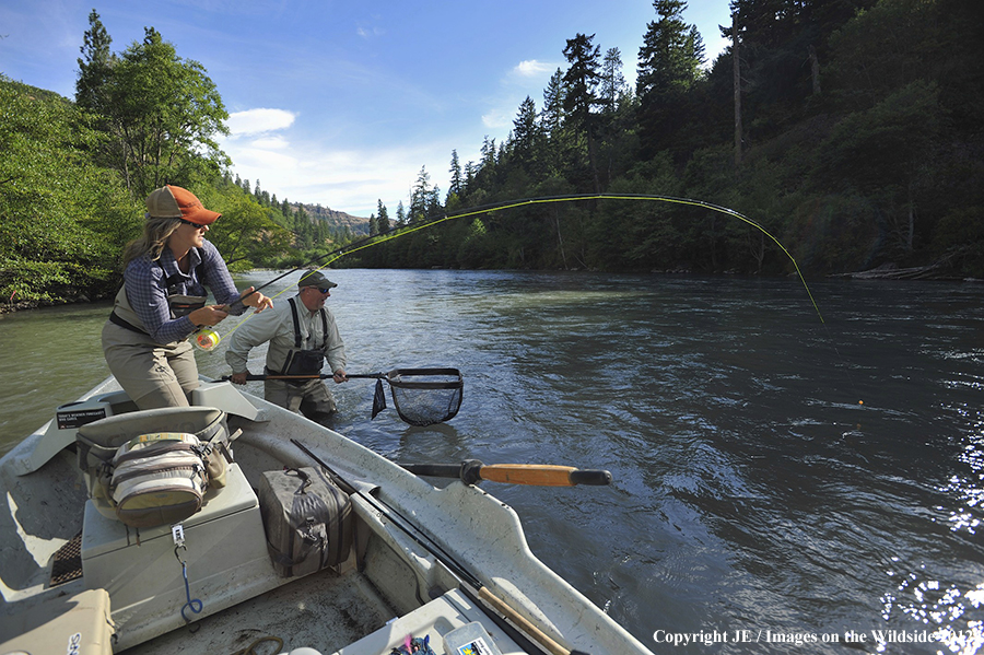 Flyfishers with hooked steelhead.