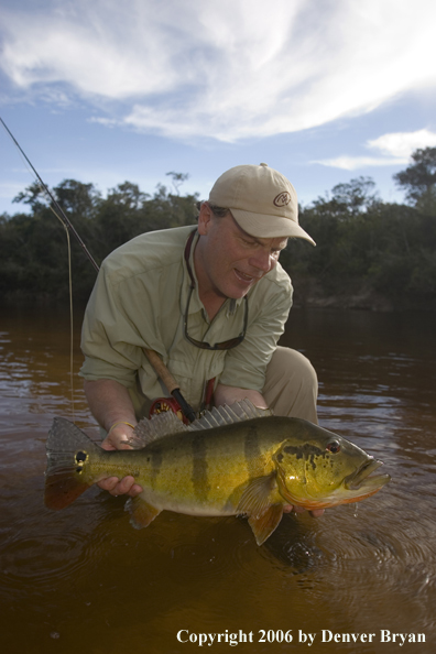 Fisherman holding Peacock Bass