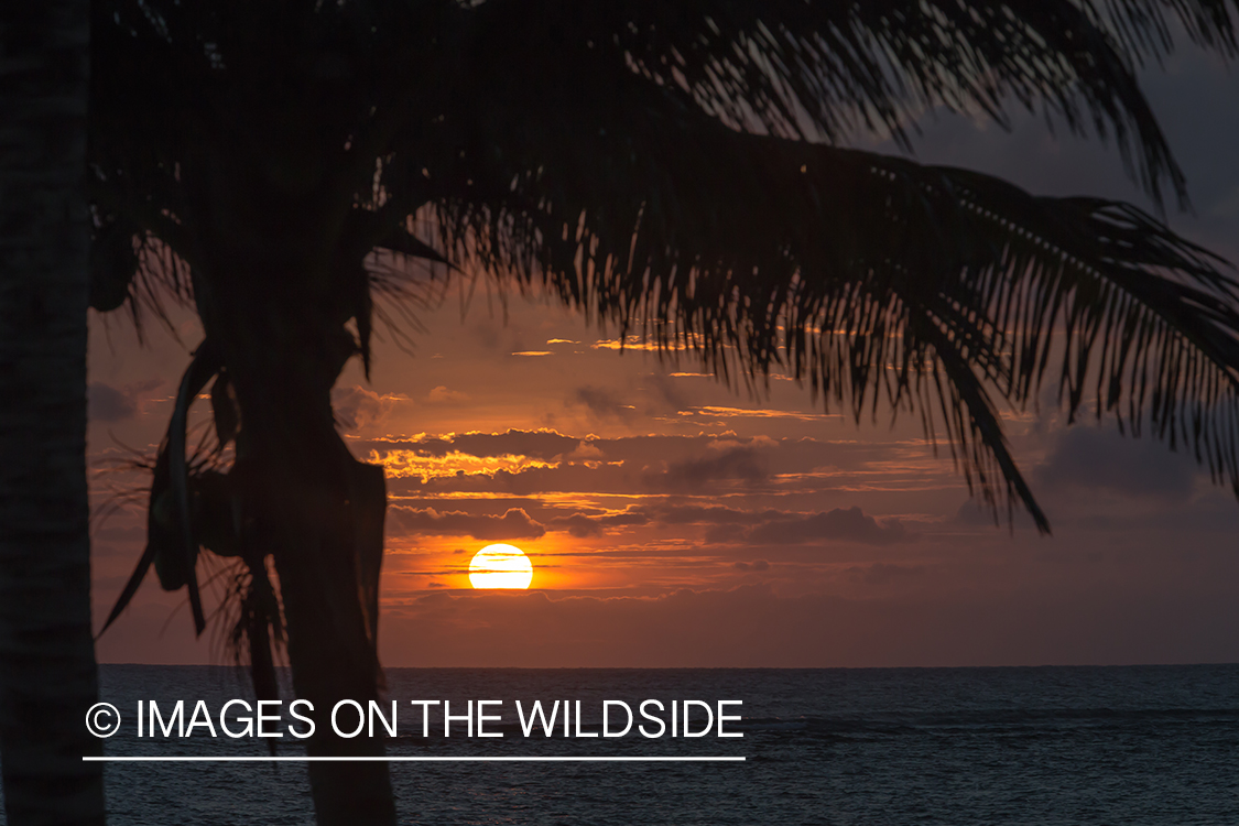 Sunset on beach in Belize.