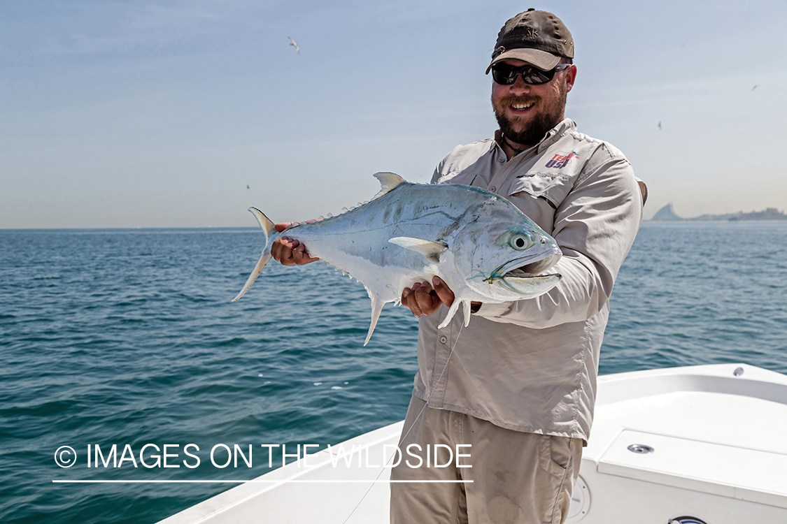 Flyfishing for queenfish off the coast of Dubai, UAE.