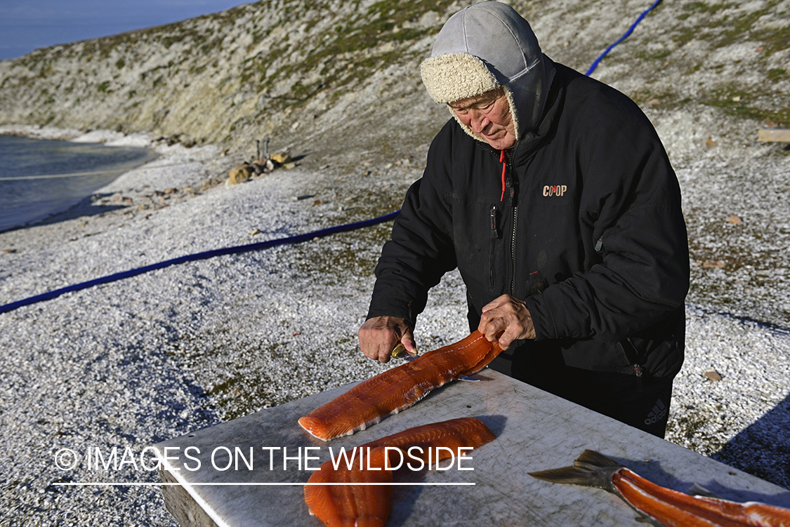 Northern native filleting Arctic Char.