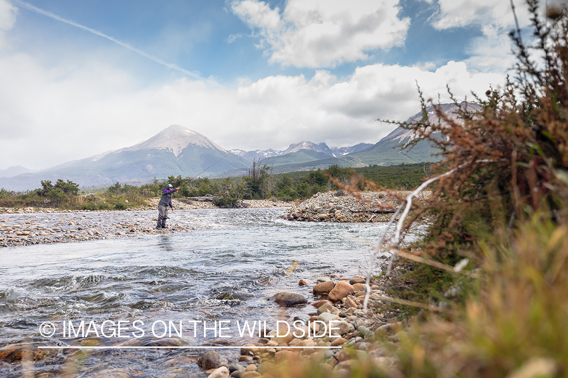 Woman fly fishing guide(Marcela Appelhanz) on stream.