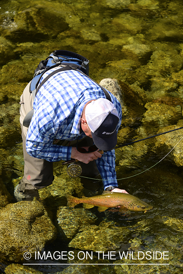 Fisherman releasing fish.