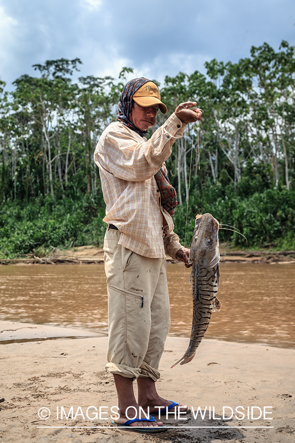 Flyfishing for Golden Dorado in Bolivia. (bow fishing)