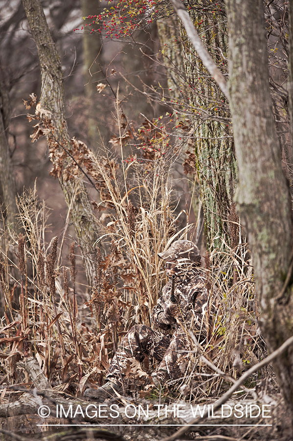 Waterfowl hunter camouflaged in wetlands.