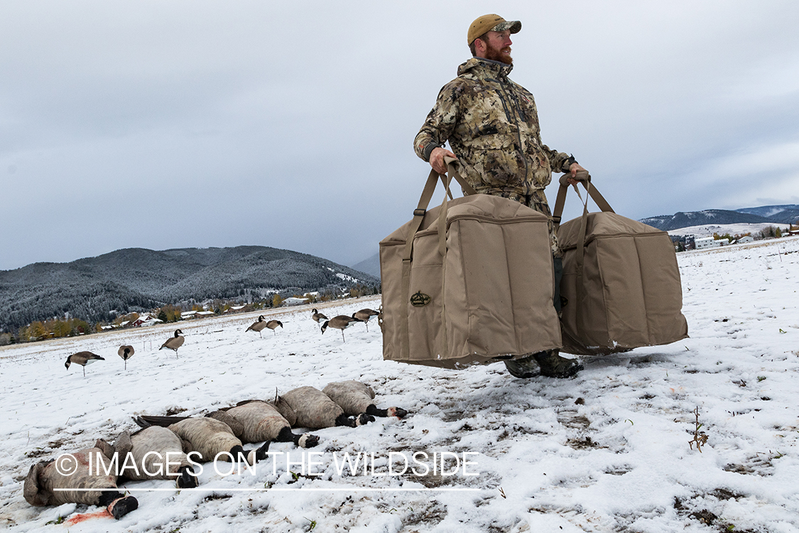 Hunters picking up decoys.