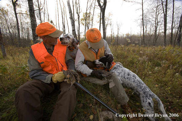 Upland bird hunters in field with dogs.