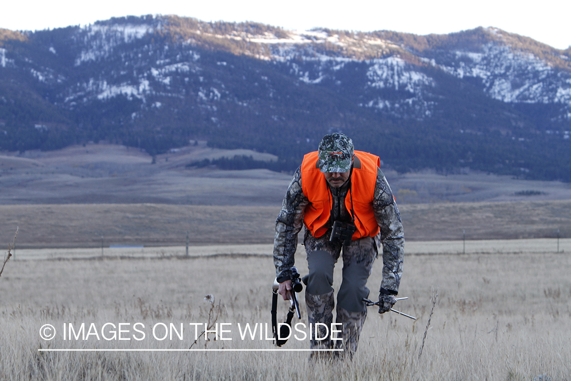 Big game hunter stalking game in field.