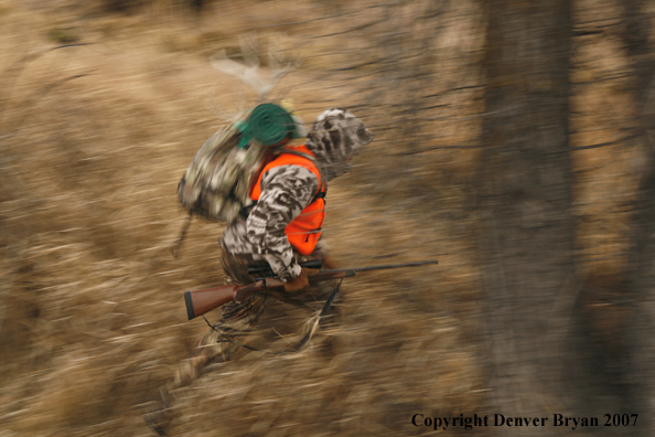 Mule deer hunter in field.