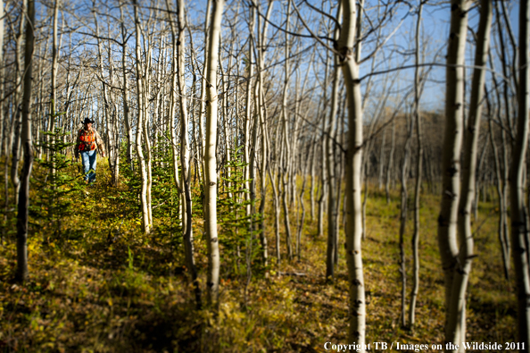 Hunter walking through forest. 