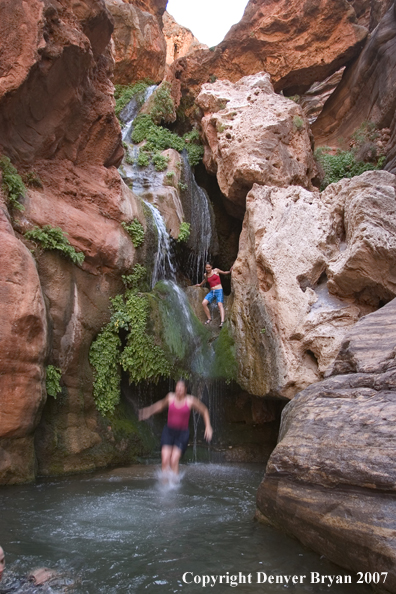 Swimmers jumping into waterfall/feeder stream of the Colorado River.  Grand Canyon.