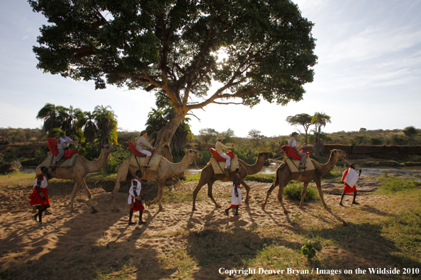 Family riding camels on african safari