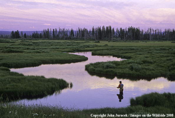 Flyfishing at Maple Creek