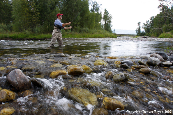 Flyfisherman on Gallatin River