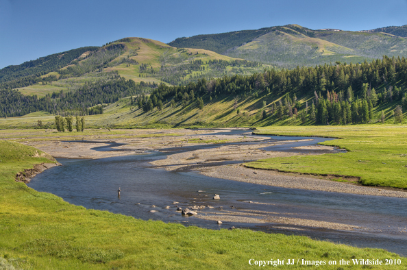 Lamar River, Yellowstone National Park.