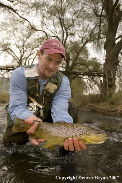 Close-up of nice brown trout.