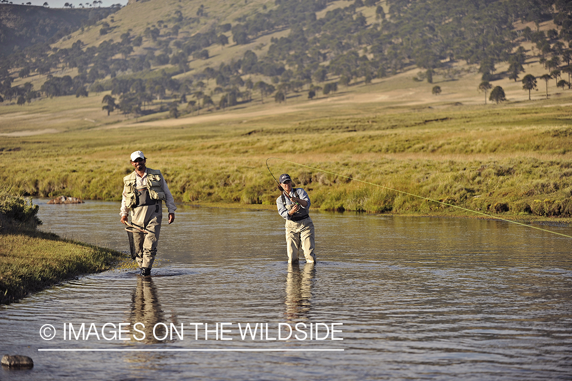 Flyfisherwoman fighting rainbow trout on line.