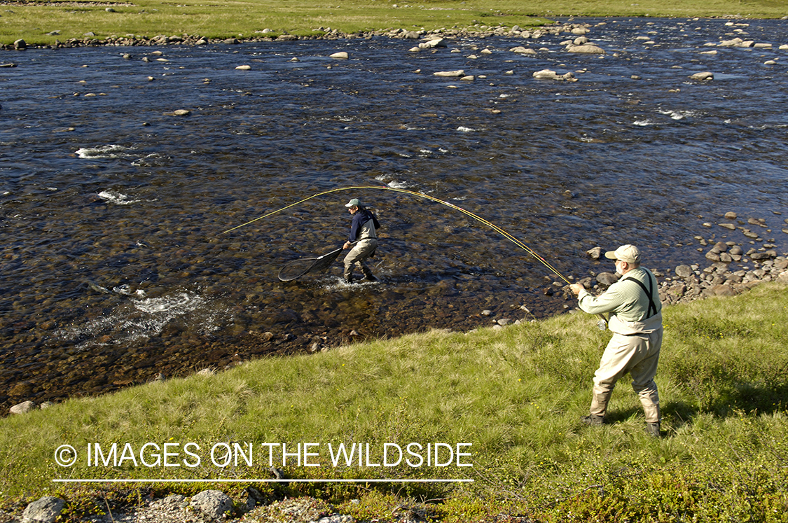 Flyfisherman fighting with Atlantic Salmon.