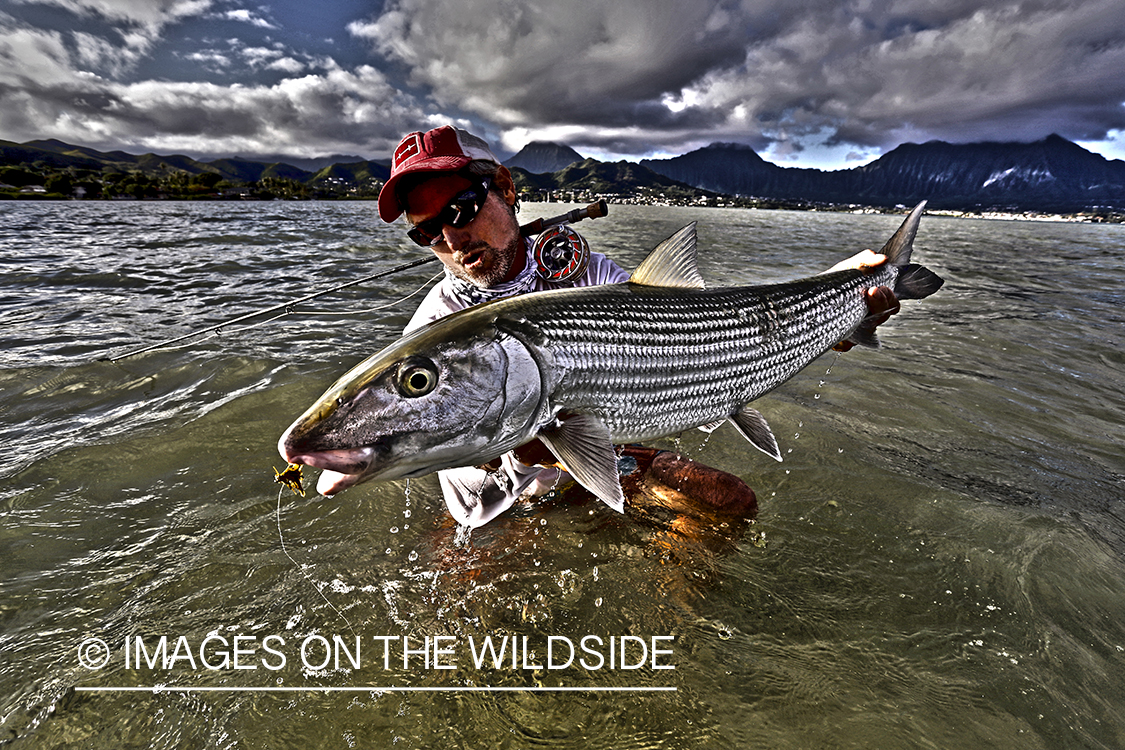 Saltwater flyfisherman with 13 lb bonefish, in Hawaii. (HDR)