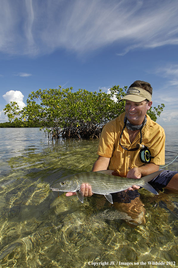 Flyfisherman releasing bone fish.