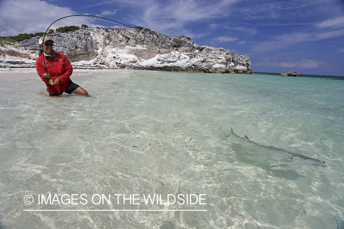 Saltwater flyfishing woman fighting bonefish.