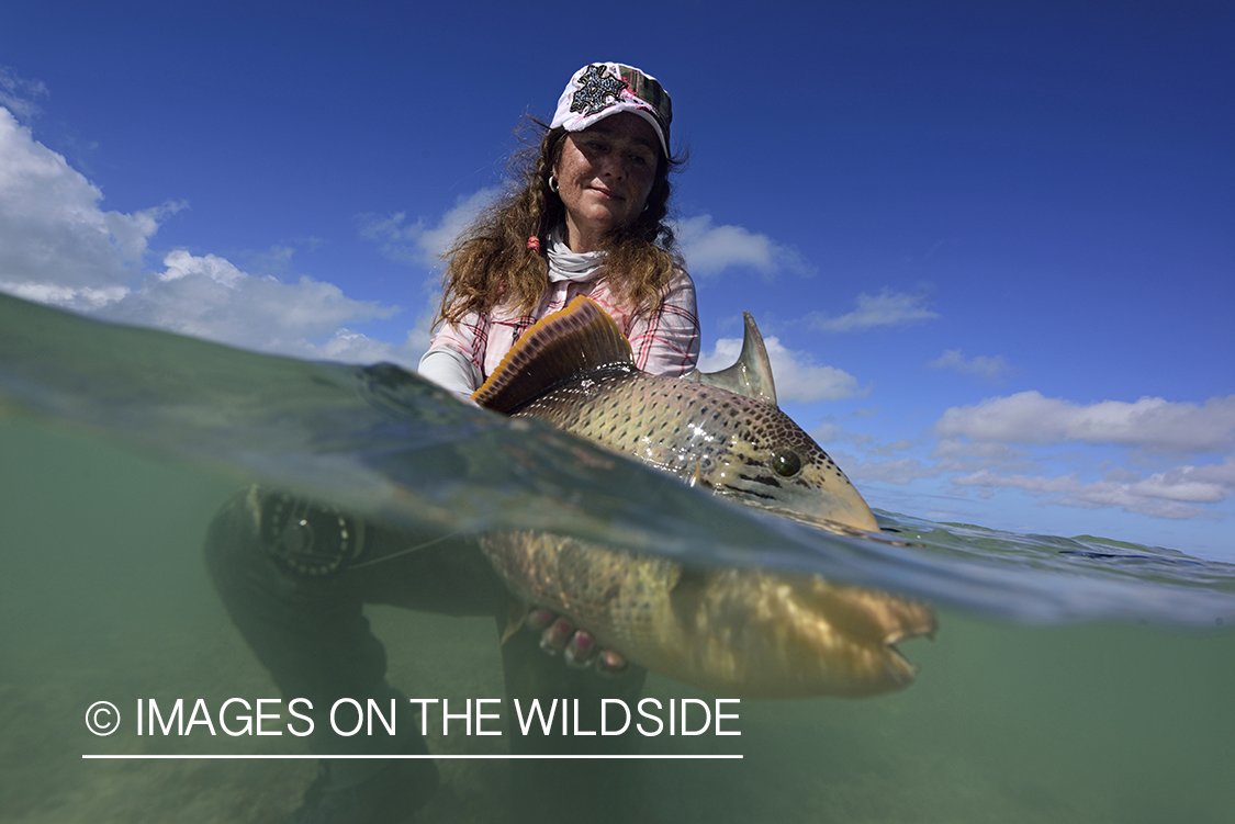 Woman releasing Peachy Triggerfish.