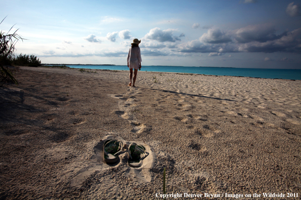 Woman walking beach to go flyfishing.                                