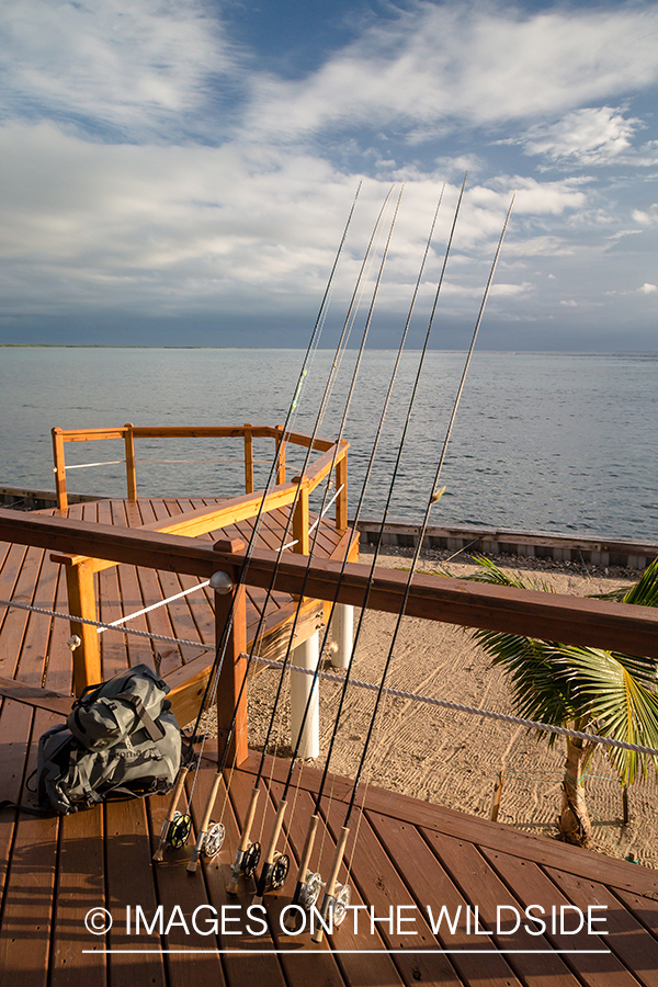 Saltwater fly rods in Belize.