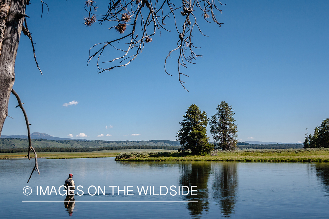 Flyfisherman at Henry's Fork Idaho.