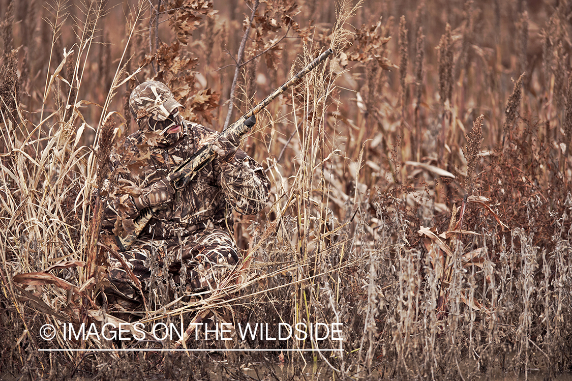 Waterfowl hunter camouflaged in wetlands.