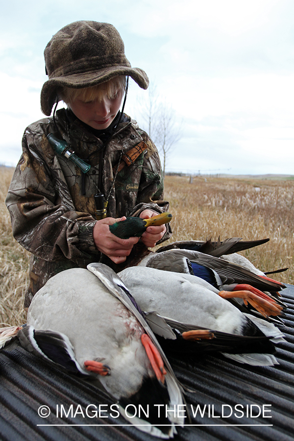 Young waterfowl hunter with bagged mallard.