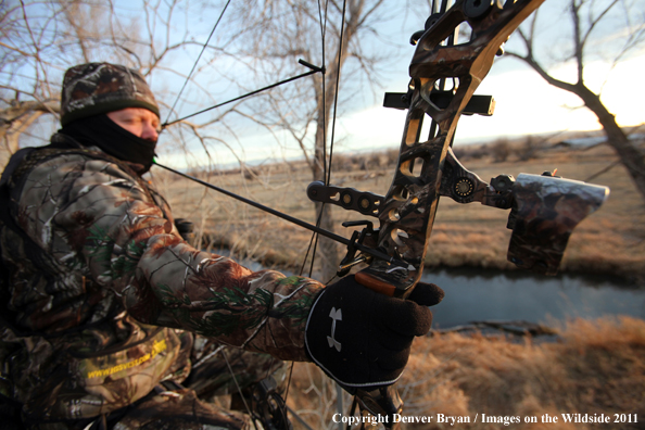 Bowhunter taking aim from tree stand. 