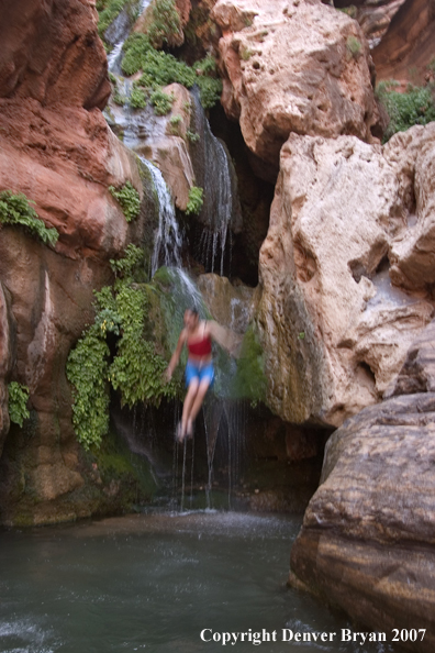 Swimmer jumping into waterfall/feeder stream of the Colorado River.  Grand Canyon.