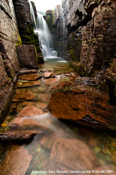 Waterfall in Glacier National Park near Logan Pass