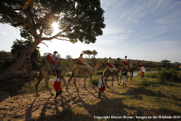 Family riding camels on african safari