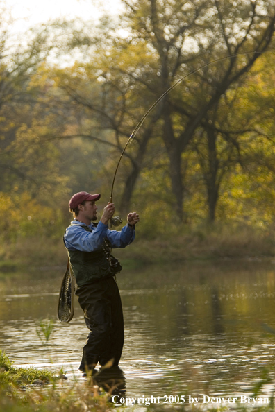 Flyfisherman playing fish.