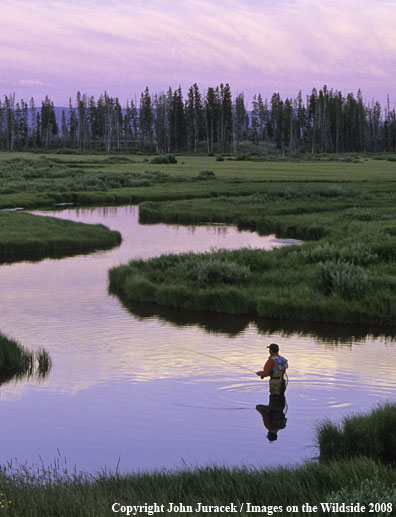 Flyfishing at Maple Creek