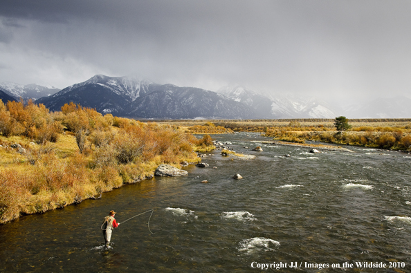 Madison River, Montana.