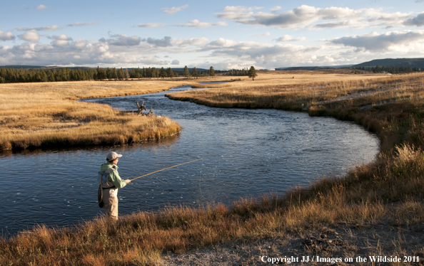 Flyfishing on Nez Perce Creek, Yellowstone National Park. 