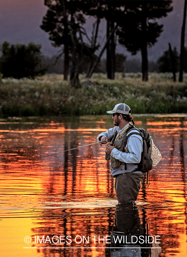 Flyfisherman fighting trout at sunset.