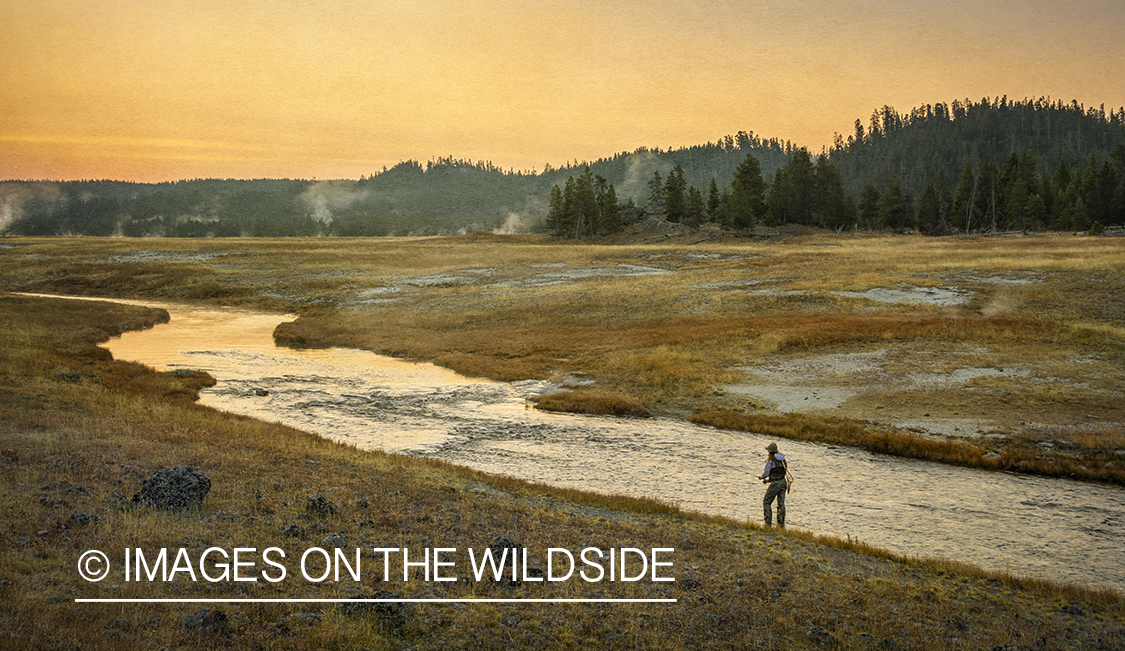 Flyfishing, Yellowstone National Park.