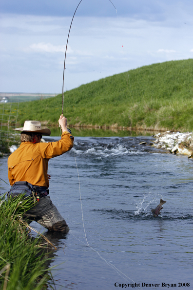 Flyfisherman fishing warm springs