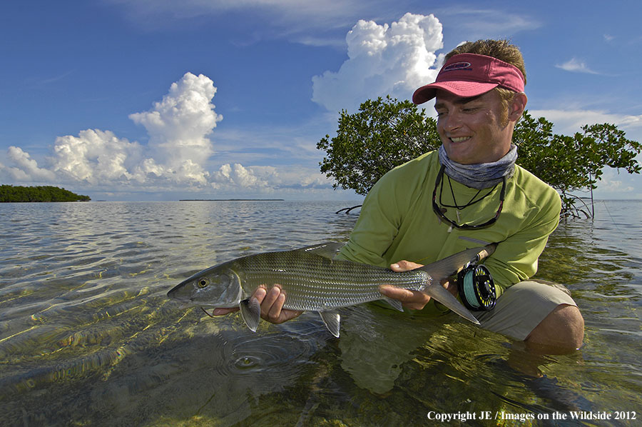 Flyfisherman releasing bone fish.