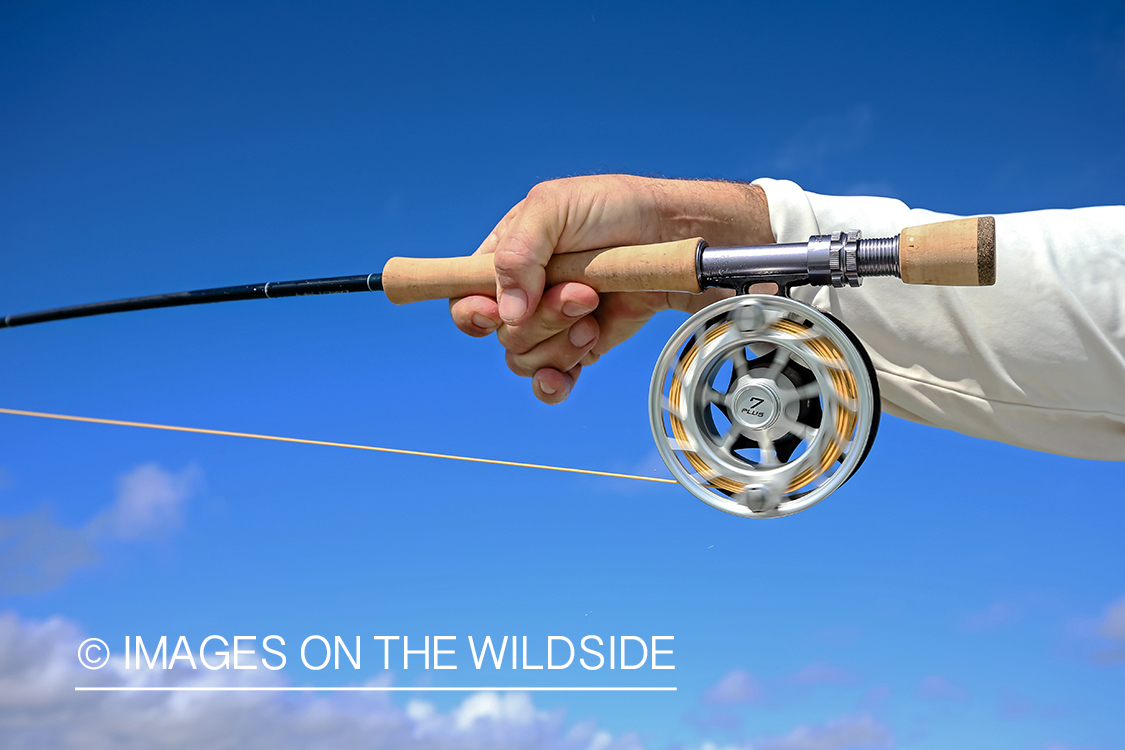 Flyfisherman holding fly rod.