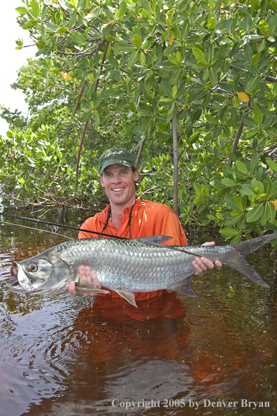 Flyfisherman w/tarpon 