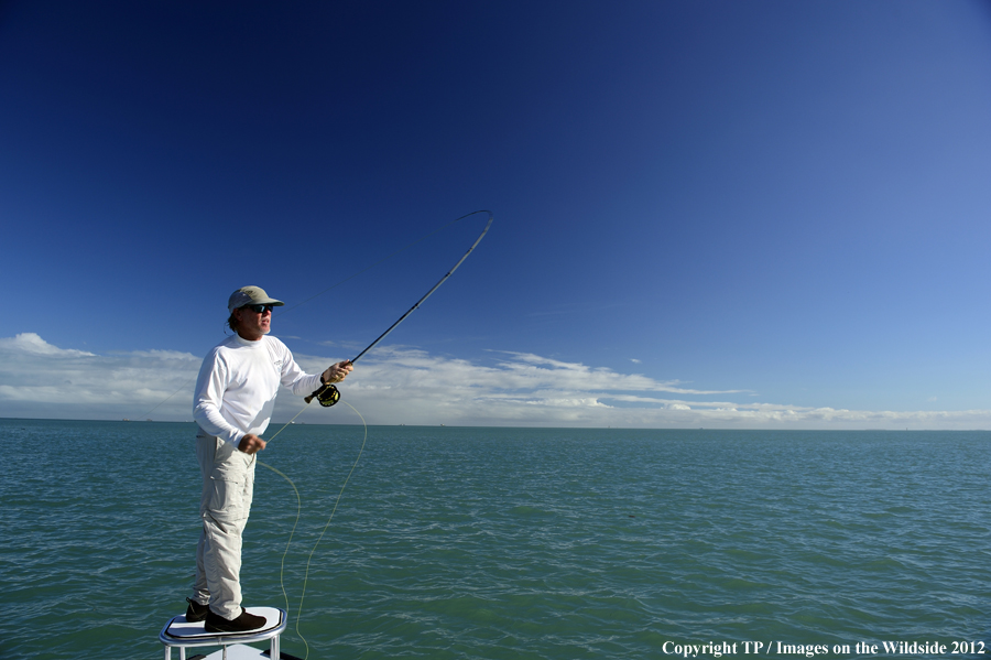 Flyfisherman casting. 