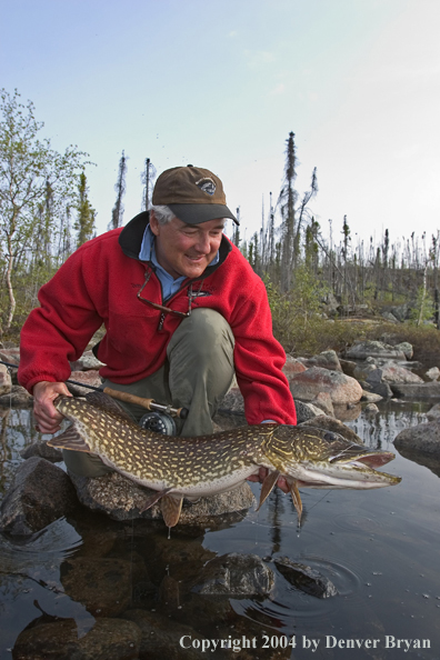 Flyfisherman with Northern Pike.