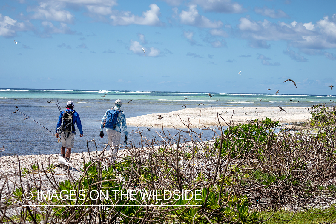 Flyfisherman walking along St. Brandon's Atoll flats.