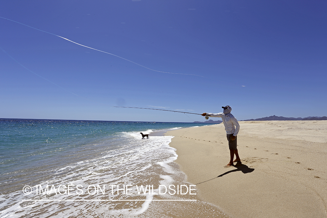 Chasing roosterfish on Baja Peninsula, Mexico.