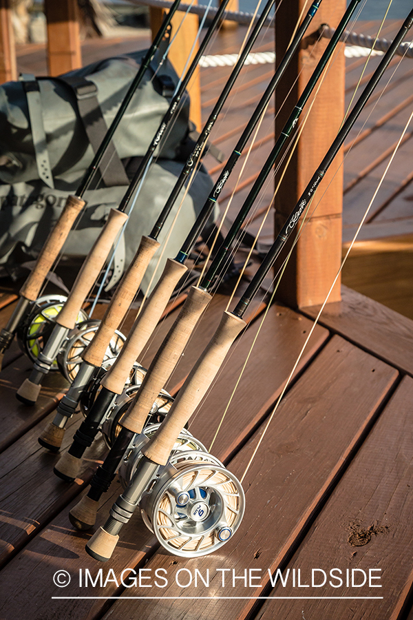 Saltwater fly rods in Belize.